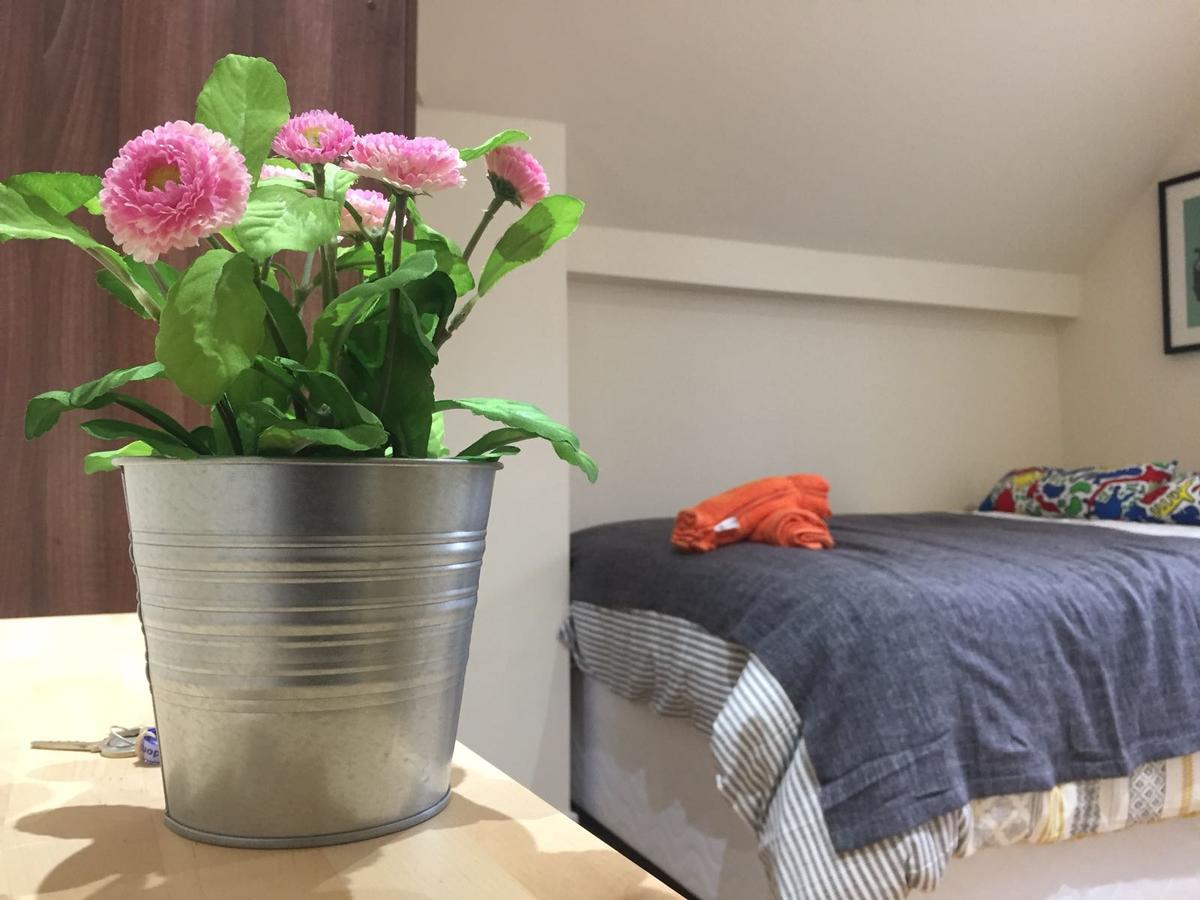 Mapesbury Hostel לונדון מראה חיצוני תמונה